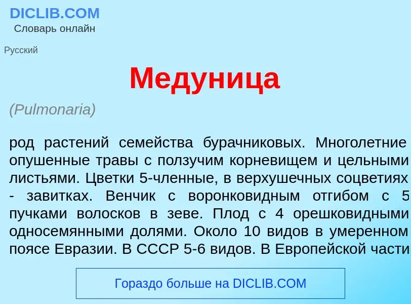 Что такое Медун<font color="red">и</font>ца - определение