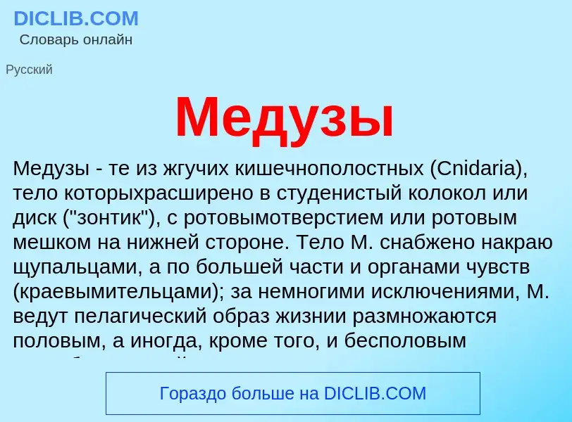 Что такое Медузы - определение