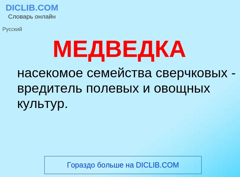 Что такое МЕДВЕДКА - определение