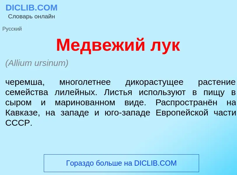 O que é Медв<font color="red">е</font>жий лук - definição, significado, conceito