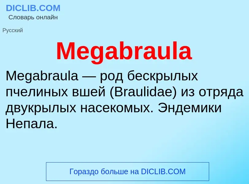 Was ist Megabraula - Definition