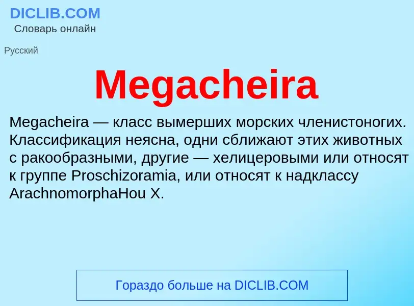 Was ist Megacheira - Definition