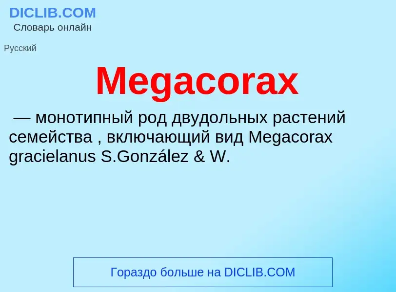 Was ist Megacorax - Definition