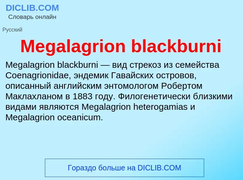 Was ist Megalagrion blackburni - Definition