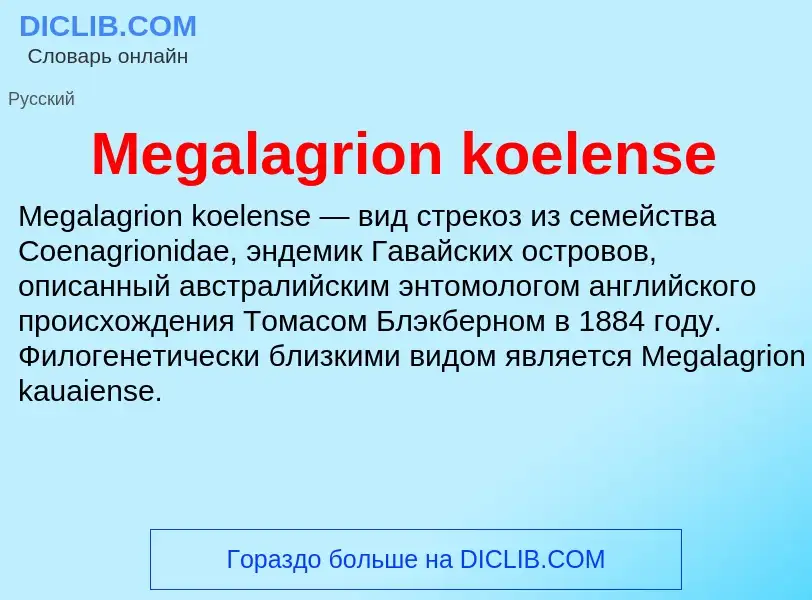 Was ist Megalagrion koelense - Definition