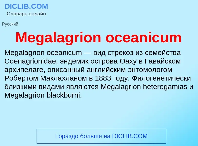 Was ist Megalagrion oceanicum - Definition