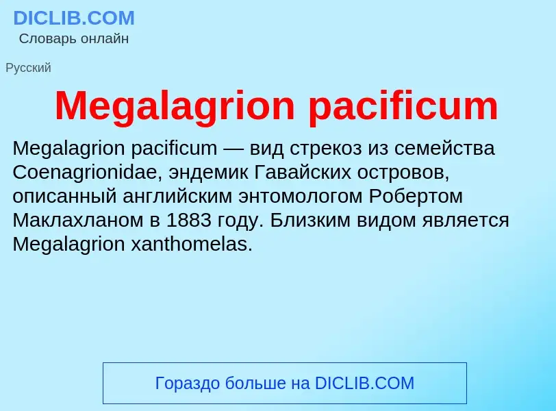 Was ist Megalagrion pacificum - Definition