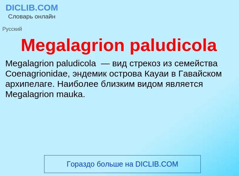 Was ist Megalagrion paludicola - Definition