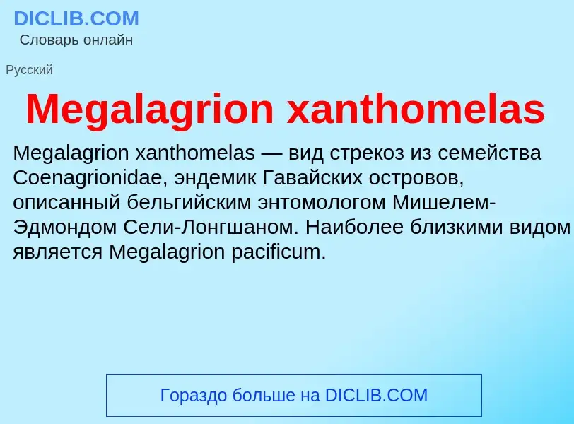 Was ist Megalagrion xanthomelas - Definition