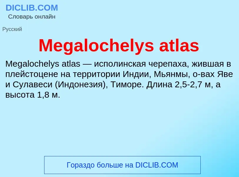 Was ist Megalochelys atlas - Definition