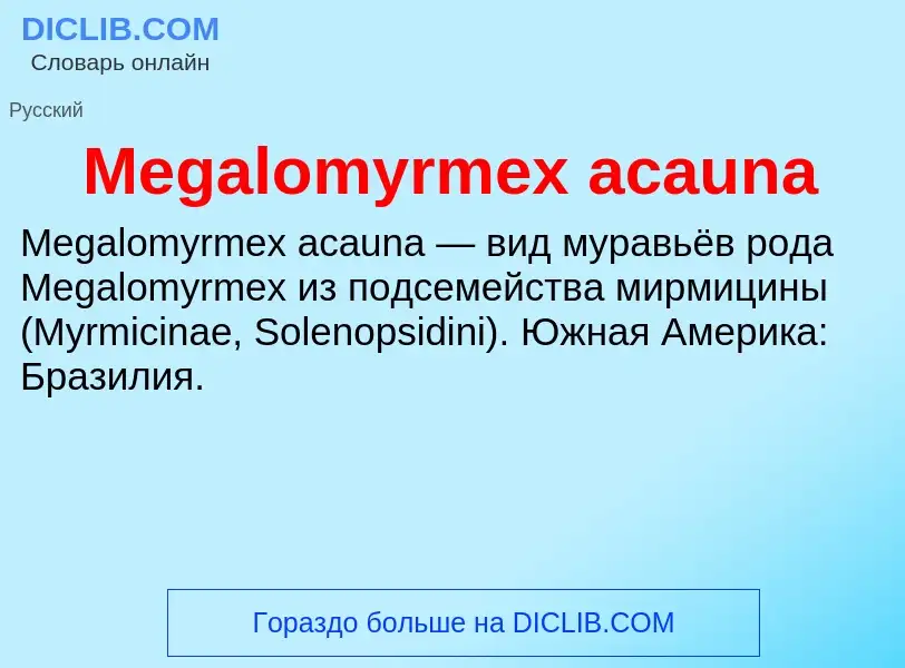 Was ist Megalomyrmex acauna - Definition