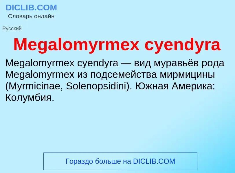 Was ist Megalomyrmex cyendyra - Definition