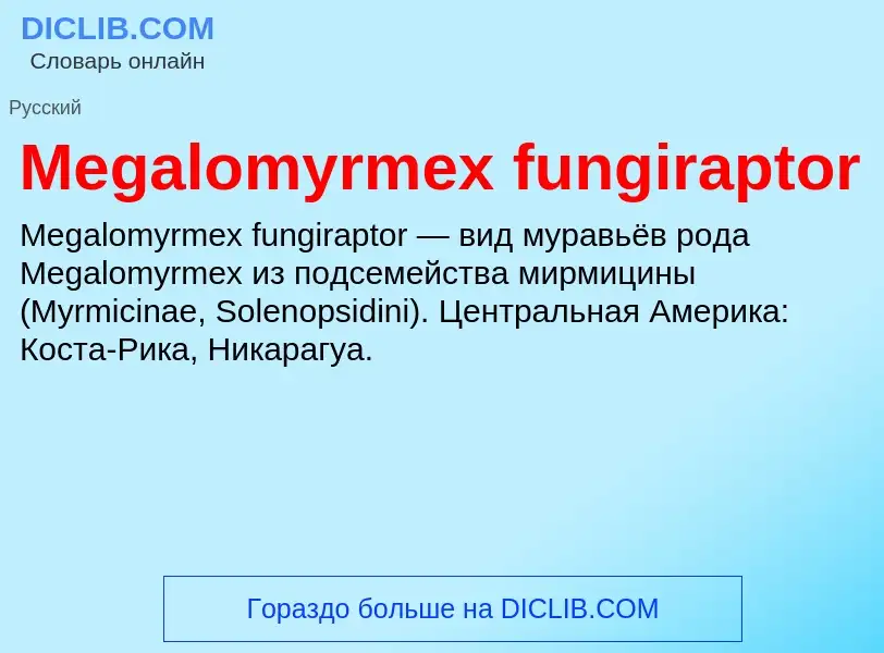 Was ist Megalomyrmex fungiraptor - Definition