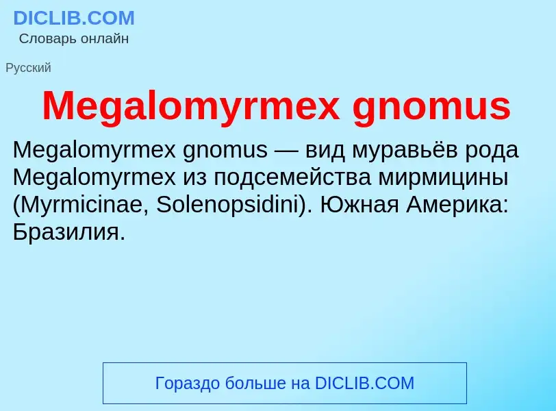 Was ist Megalomyrmex gnomus - Definition