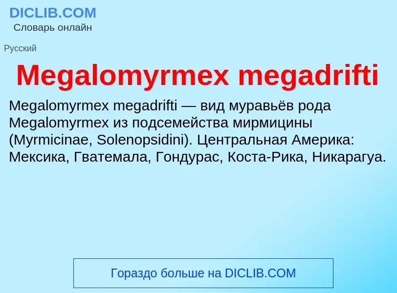 Was ist Megalomyrmex megadrifti - Definition