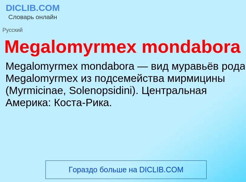 Was ist Megalomyrmex mondabora - Definition