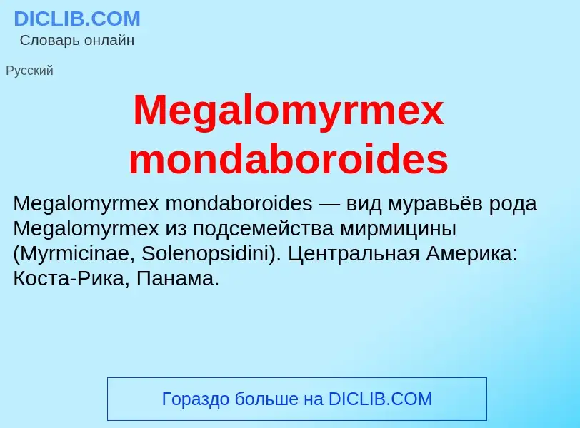 Was ist Megalomyrmex mondaboroides - Definition