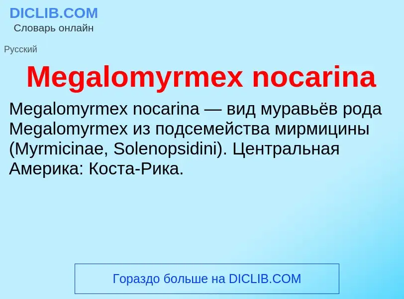 Was ist Megalomyrmex nocarina - Definition