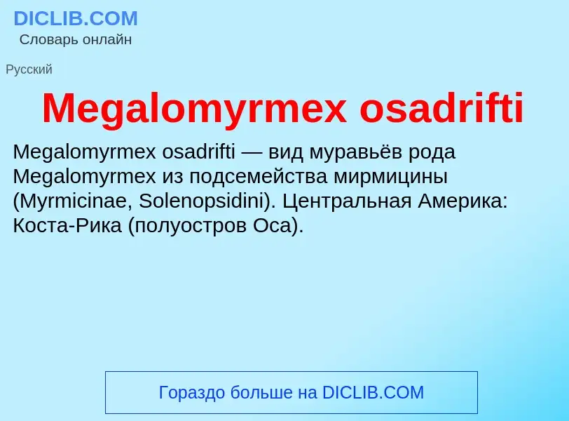 Was ist Megalomyrmex osadrifti - Definition