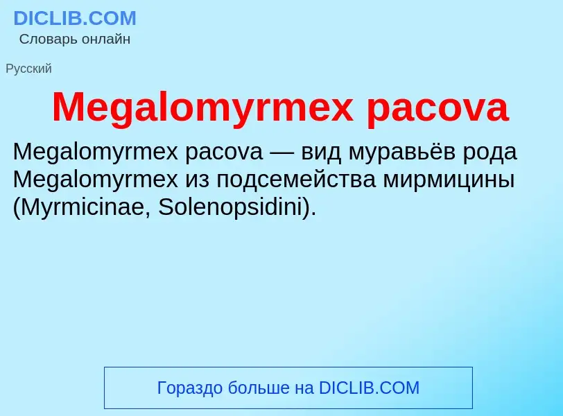 Was ist Megalomyrmex pacova - Definition