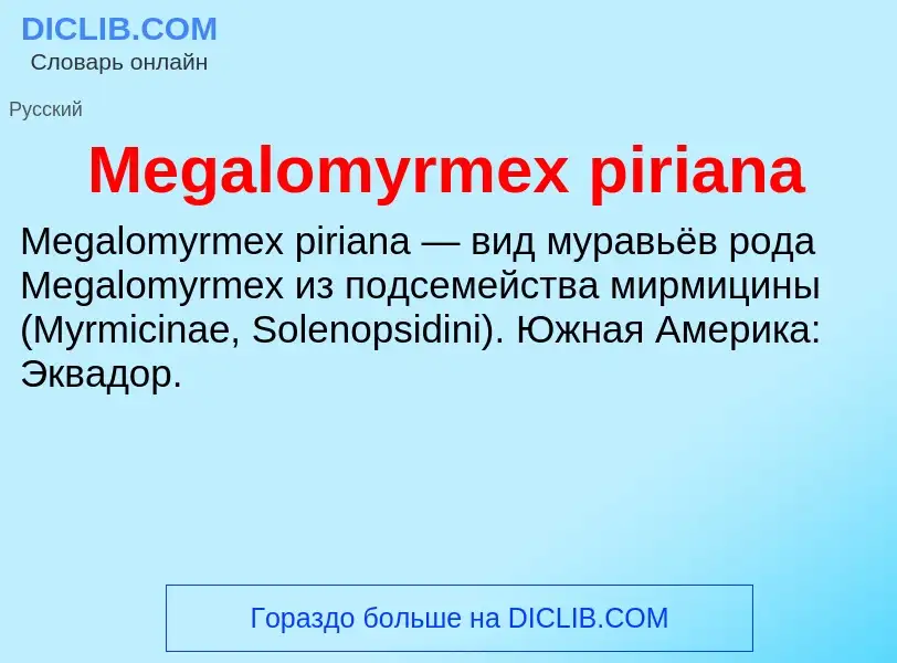 Was ist Megalomyrmex piriana - Definition