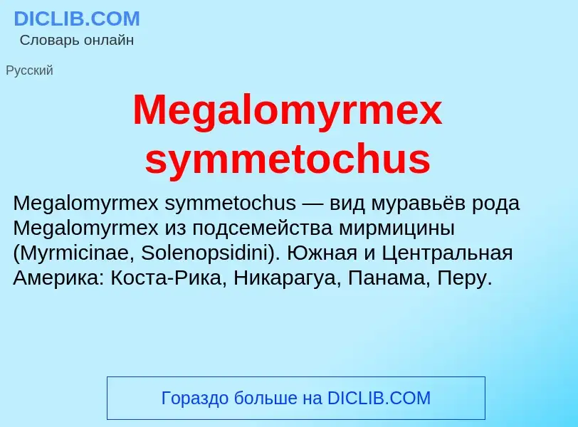 Was ist Megalomyrmex symmetochus - Definition