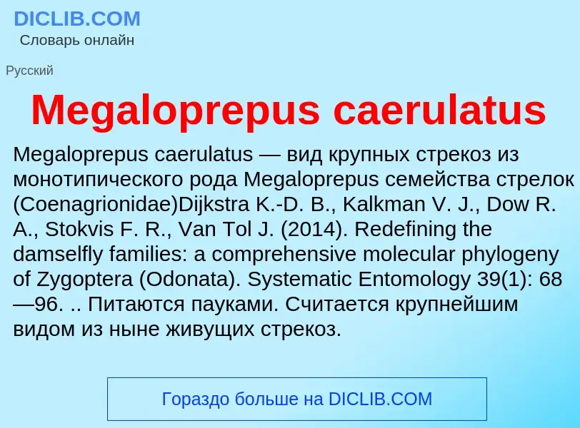 Was ist Megaloprepus caerulatus - Definition