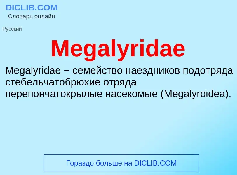 Was ist Megalyridae - Definition