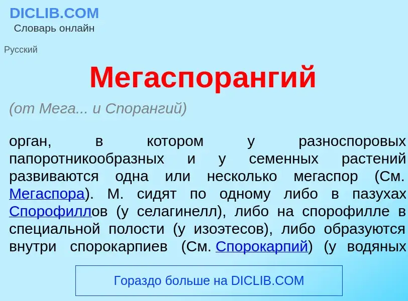 Wat is Мегаспор<font color="red">а</font>нгий - definition