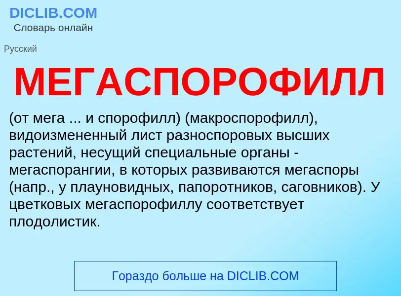 Was ist МЕГАСПОРОФИЛЛ - Definition