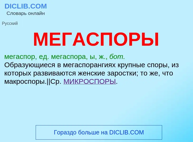 Что такое МЕГАСПОРЫ - определение