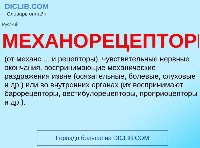 What is МЕХАНОРЕЦЕПТОРЫ - definition