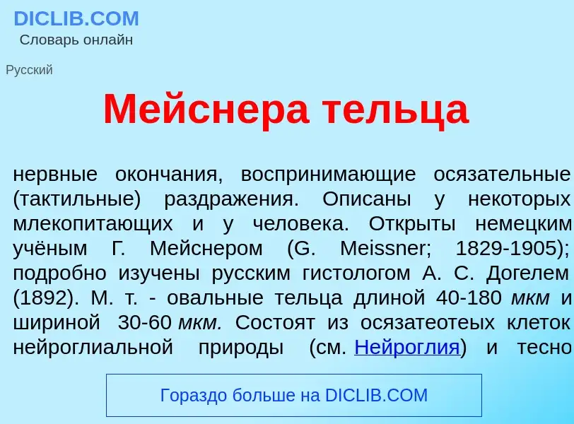 What is М<font color="red">е</font>йснера тельц<font color="red">а</font> - meaning and definition