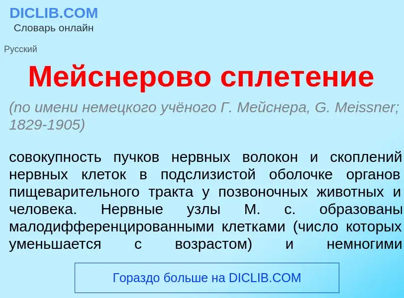 Что такое М<font color="red">е</font>йснерово сплет<font color="red">е</font>ние - определение