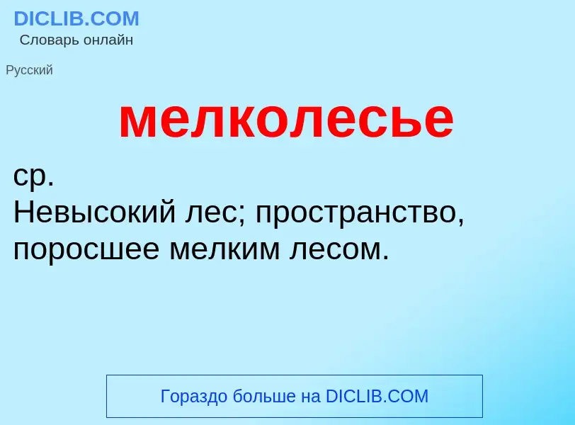 ¿Qué es мелколесье? - significado y definición