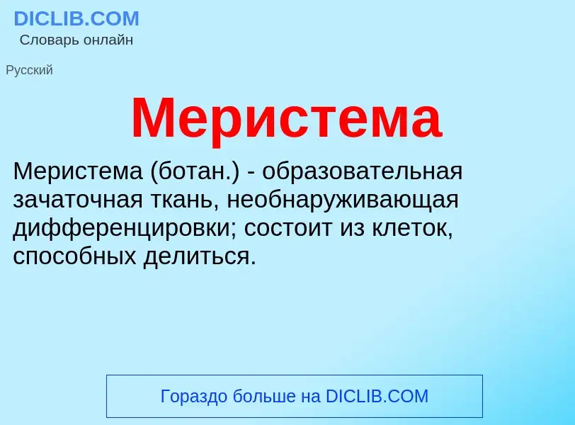 What is Меристема - meaning and definition