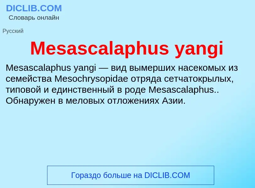 Was ist Mesascalaphus yangi - Definition