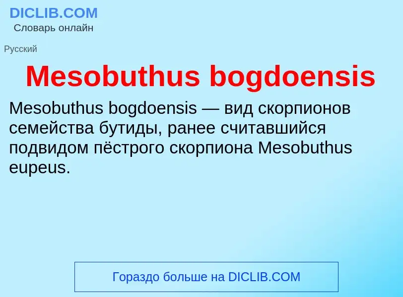 Was ist Mesobuthus bogdoensis - Definition