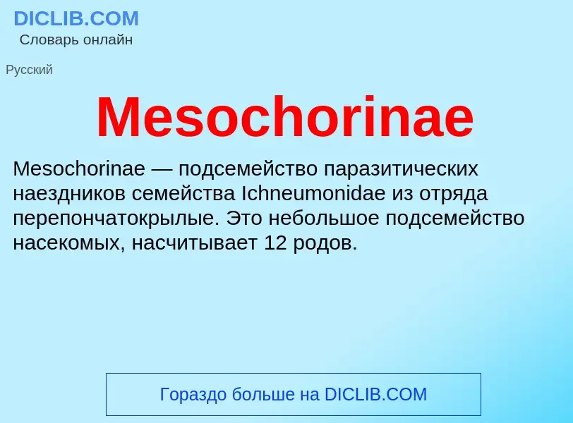 Was ist Mesochorinae - Definition