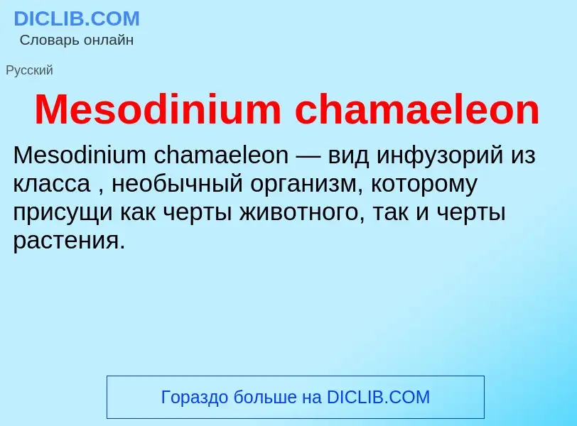 Was ist Mesodinium chamaeleon - Definition