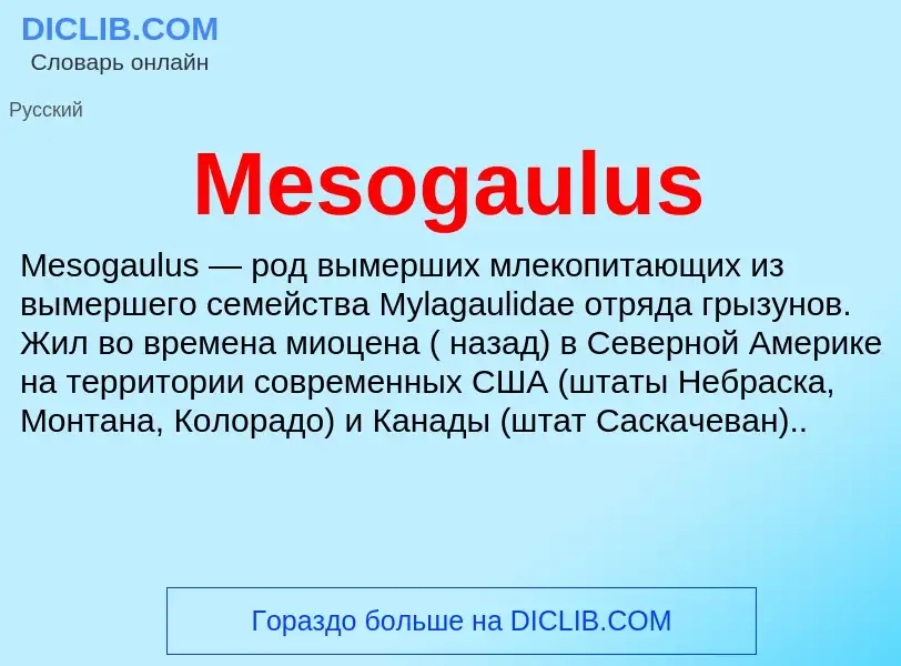 Was ist Mesogaulus - Definition