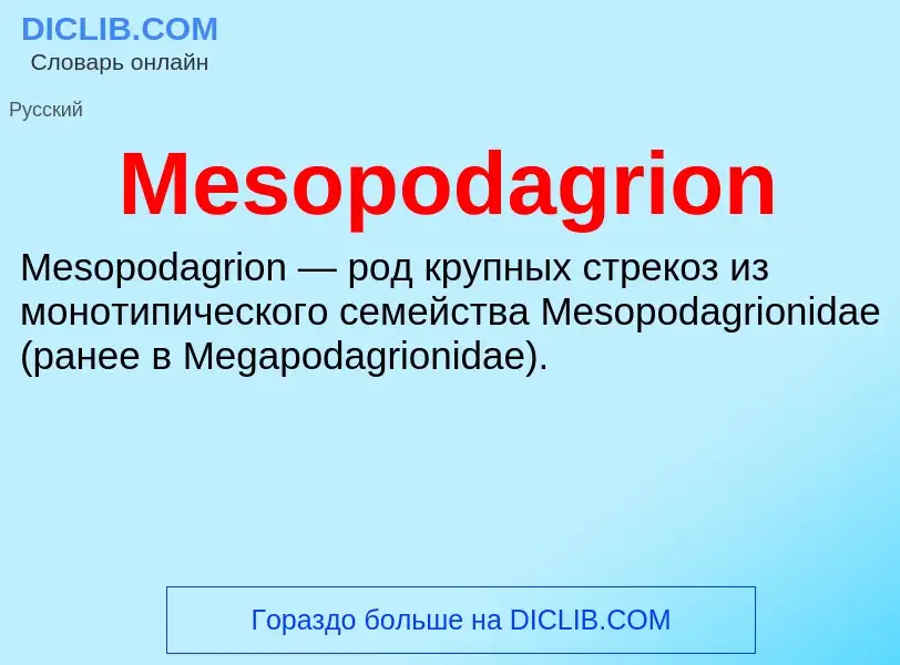 Was ist Mesopodagrion - Definition