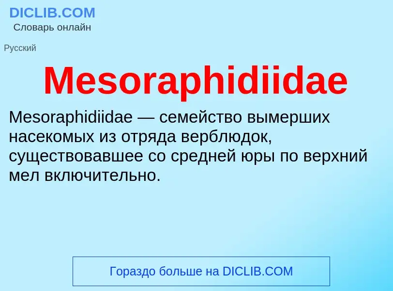 Was ist Mesoraphidiidae - Definition