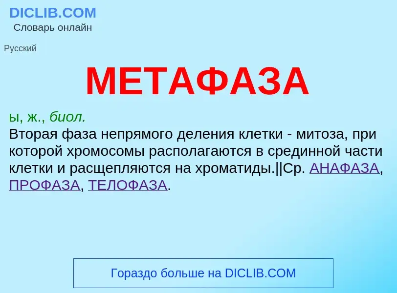 Что такое МЕТАФАЗА - определение