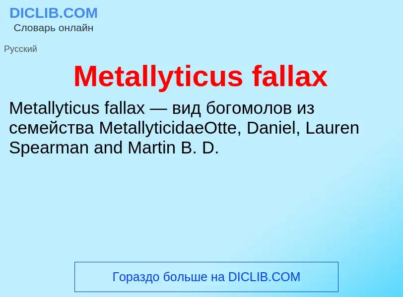 Was ist Metallyticus fallax - Definition