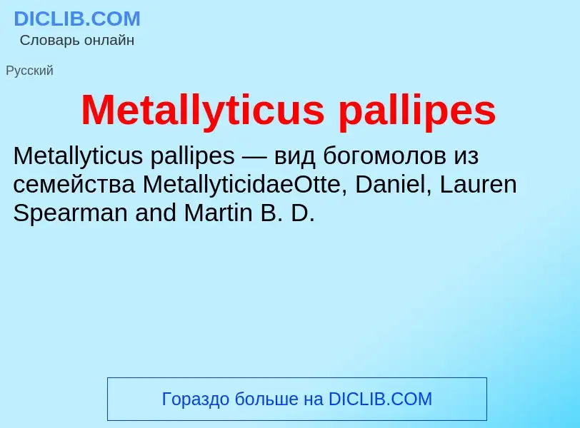 Was ist Metallyticus pallipes - Definition