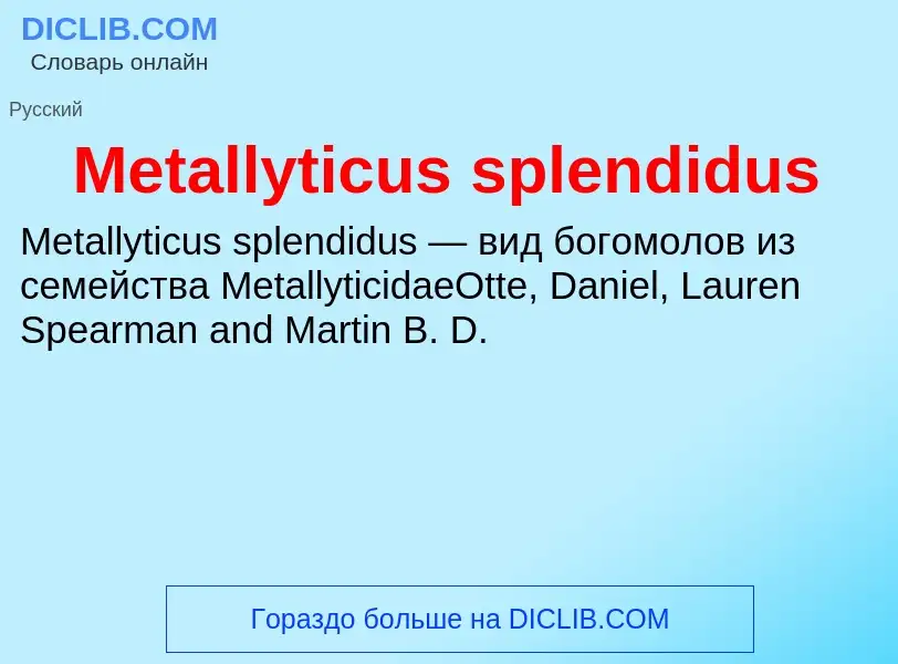 Was ist Metallyticus splendidus - Definition