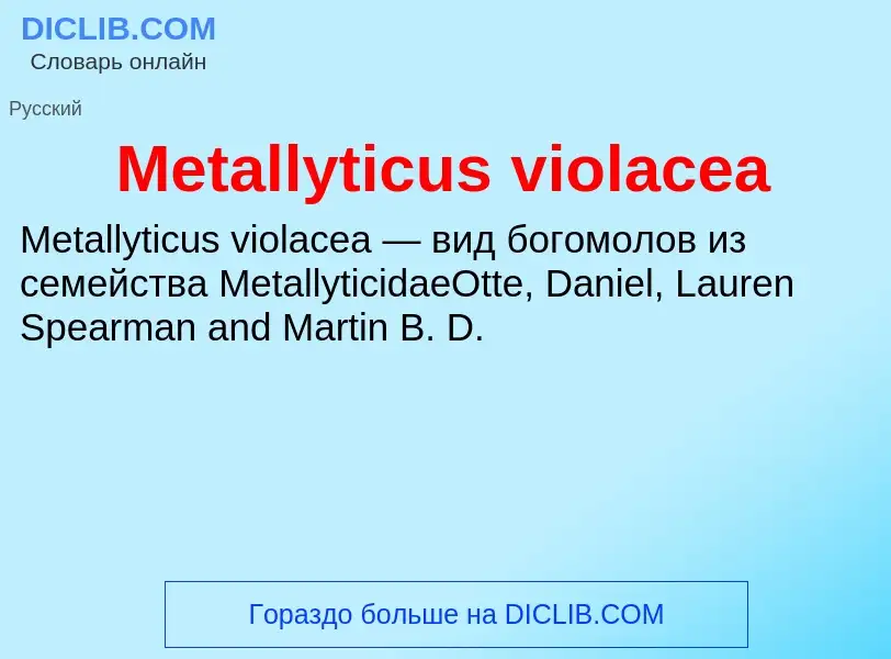 Was ist Metallyticus violacea - Definition