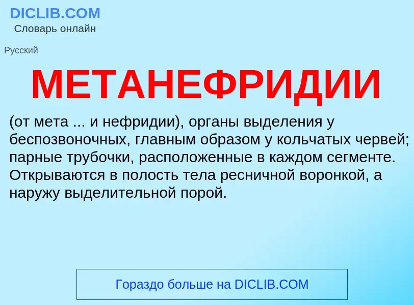 Что такое МЕТАНЕФРИДИИ - определение