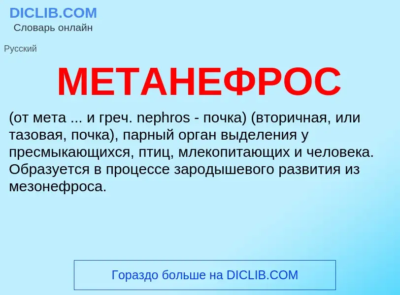 Что такое МЕТАНЕФРОС - определение